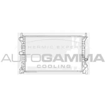 Radiateur, refroidissement du moteur AUTOGAMMA 102071