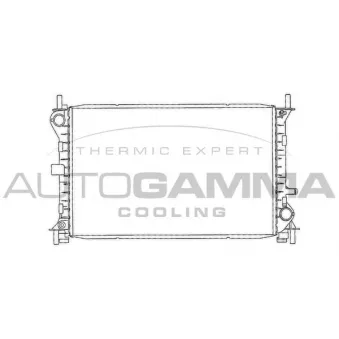 Radiateur, refroidissement du moteur AUTOGAMMA 102073