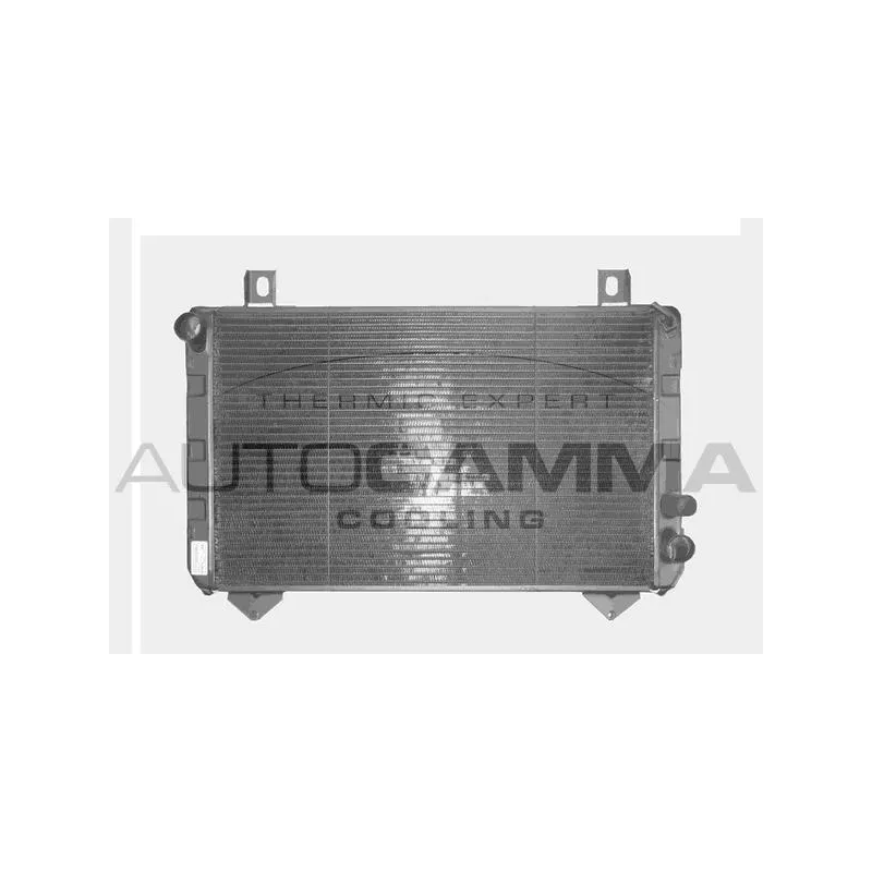 Radiateur, refroidissement du moteur AUTOGAMMA 102083
