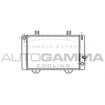 Radiateur, refroidissement du moteur AUTOGAMMA 102084