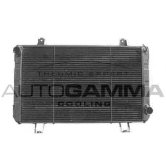 Radiateur, refroidissement du moteur AUTOGAMMA