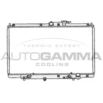 Radiateur, refroidissement du moteur AUTOGAMMA