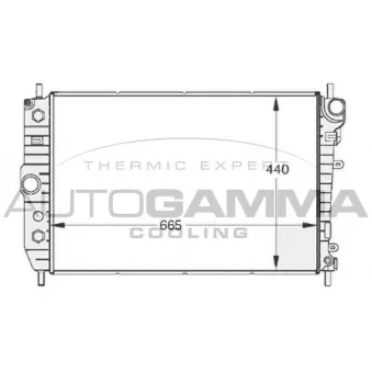 Radiateur, refroidissement du moteur AUTOGAMMA 102129