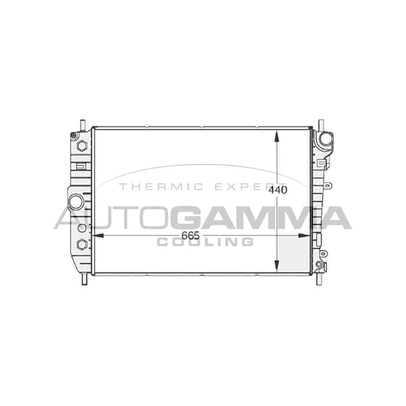 Radiateur, refroidissement du moteur AUTOGAMMA 102129