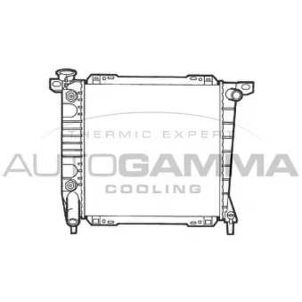 Radiateur, refroidissement du moteur AUTOGAMMA 102142
