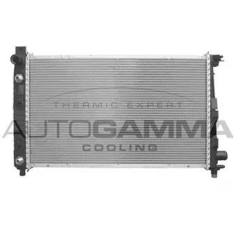Radiateur, refroidissement du moteur AUTOGAMMA 102146