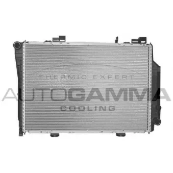 Radiateur, refroidissement du moteur AUTOGAMMA 102148