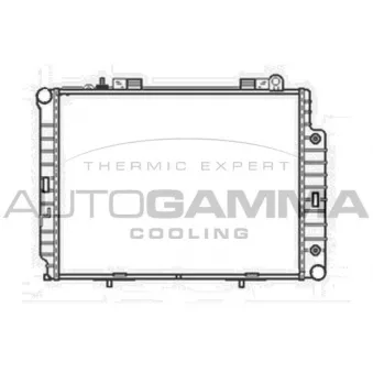 Radiateur, refroidissement du moteur AUTOGAMMA