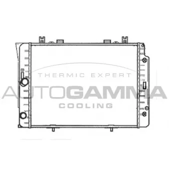 Radiateur, refroidissement du moteur AUTOGAMMA