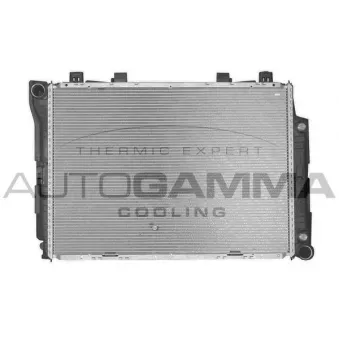 Radiateur, refroidissement du moteur AUTOGAMMA 102165