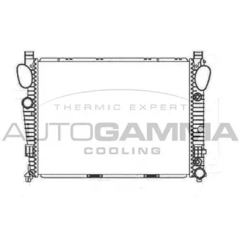 Radiateur, refroidissement du moteur AUTOGAMMA 102169