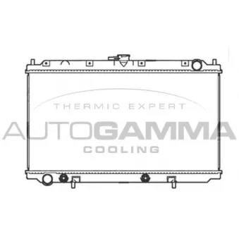 Radiateur, refroidissement du moteur AUTOGAMMA 102196