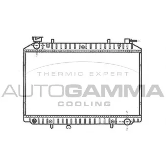 Radiateur, refroidissement du moteur AUTOGAMMA