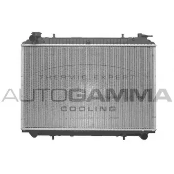 Radiateur, refroidissement du moteur AUTOGAMMA