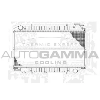 Radiateur, refroidissement du moteur AUTOGAMMA 102204