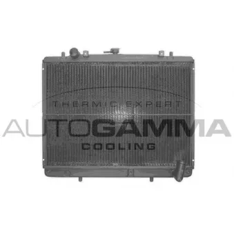 Radiateur, refroidissement du moteur AUTOGAMMA 102211