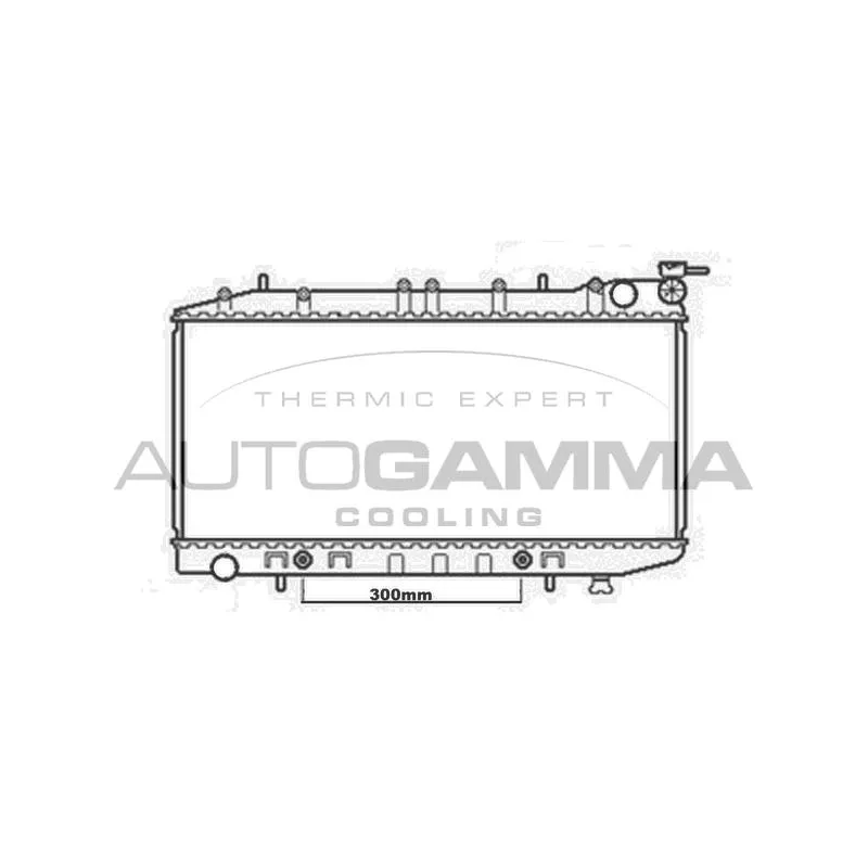 Radiateur, refroidissement du moteur AUTOGAMMA 102212