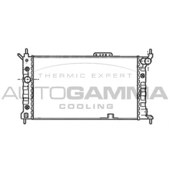 Radiateur, refroidissement du moteur AUTOGAMMA 102217