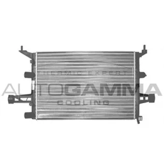 Radiateur, refroidissement du moteur AUTOGAMMA 102218