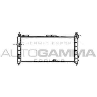 Radiateur, refroidissement du moteur AUTOGAMMA 102222