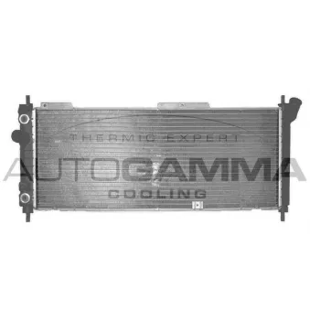 Radiateur, refroidissement du moteur AUTOGAMMA 102223