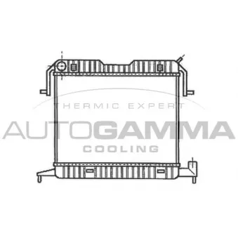 Radiateur, refroidissement du moteur AUTOGAMMA 102235