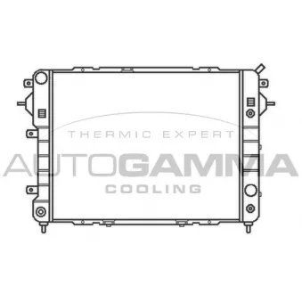 Radiateur, refroidissement du moteur AUTOGAMMA 102239