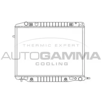 Radiateur, refroidissement du moteur AUTOGAMMA 102246