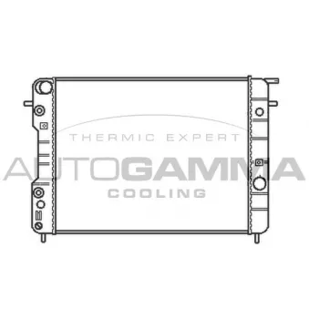 Radiateur, refroidissement du moteur AUTOGAMMA 102253