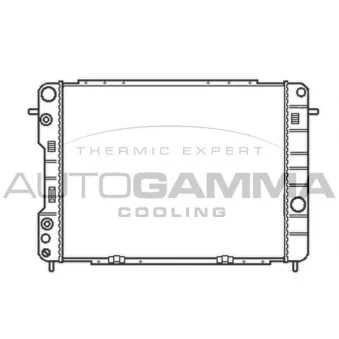 Radiateur, refroidissement du moteur AUTOGAMMA 102258