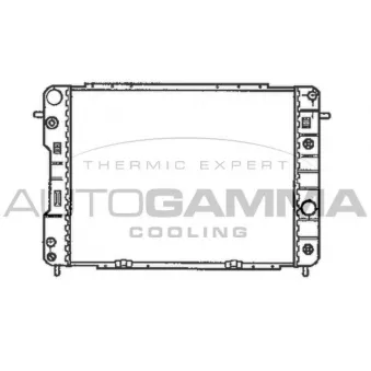 Radiateur, refroidissement du moteur AUTOGAMMA 102259