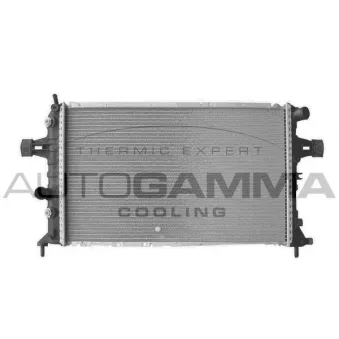 Radiateur, refroidissement du moteur AUTOGAMMA 102261