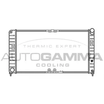 Radiateur, refroidissement du moteur AUTOGAMMA 102262