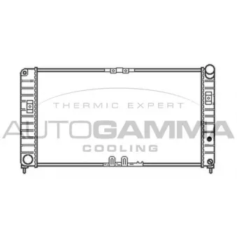 Radiateur, refroidissement du moteur AUTOGAMMA 102263