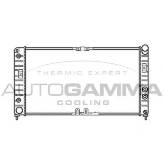 Radiateur, refroidissement du moteur AUTOGAMMA 102264