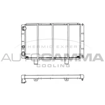 Radiateur, refroidissement du moteur AUTOGAMMA 102274