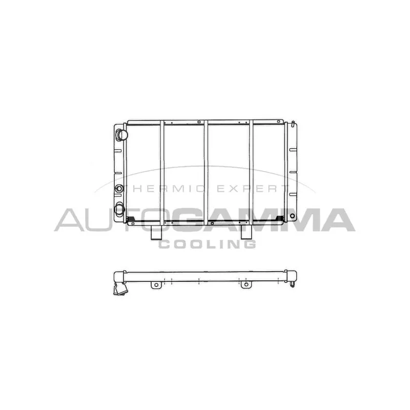 Radiateur, refroidissement du moteur AUTOGAMMA 102274