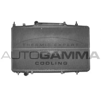 Radiateur, refroidissement du moteur AUTOGAMMA 102275