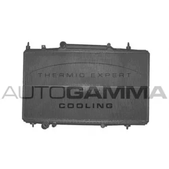 Radiateur, refroidissement du moteur AUTOGAMMA