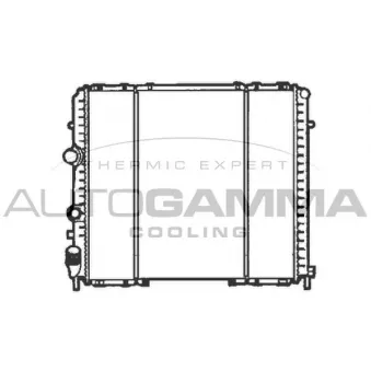 Radiateur, refroidissement du moteur AUTOGAMMA 102282