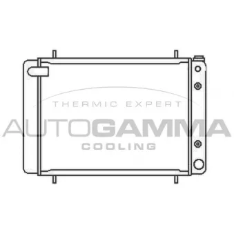 Radiateur, refroidissement du moteur AUTOGAMMA 102292