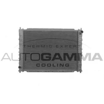 Radiateur, refroidissement du moteur AUTOGAMMA 102296