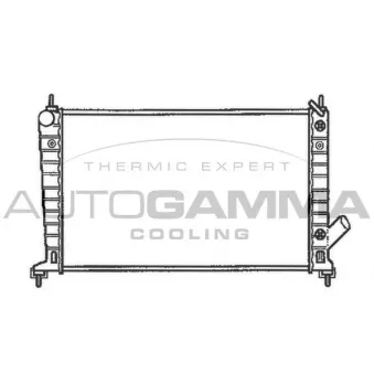 Radiateur, refroidissement du moteur AUTOGAMMA 102302