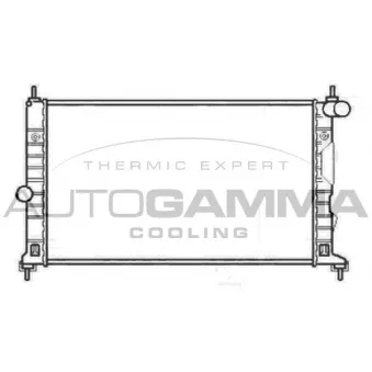 Radiateur, refroidissement du moteur AUTOGAMMA 102303