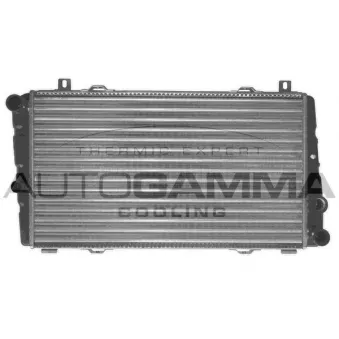 Radiateur, refroidissement du moteur AUTOGAMMA 102306