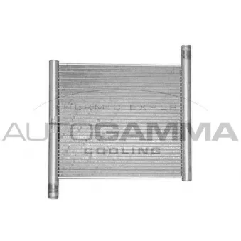 Radiateur, refroidissement du moteur AUTOGAMMA 102307