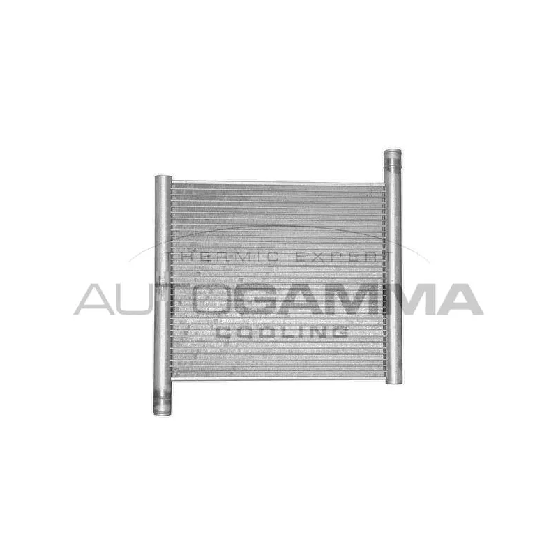 Radiateur, refroidissement du moteur AUTOGAMMA 102307