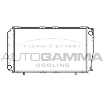 Radiateur, refroidissement du moteur AUTOGAMMA 102310
