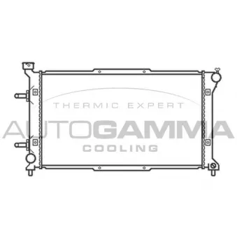 Radiateur, refroidissement du moteur AUTOGAMMA 102316