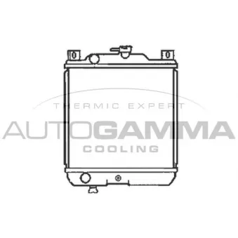 Radiateur, refroidissement du moteur AUTOGAMMA 102339